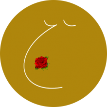 gravidanza-parto-esogestazione gravidanza-parto-esogestazione